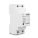 80A 2P Din Rail wifi smart switch circuit breaker remote control by TUYA smartlife with Alexa Google Home for home TOMZN - TOMZN