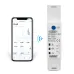 18mm 63A WIFI smart Bidirectional Energy Meter timer Power Monitor kWh Meter SMARTLIFE with voltage current protection TOMZN - TOMZN