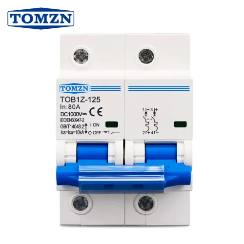 TOMZN 2P 1000V DC MCB 80A 100A 125A Circuit breaker FOR PV System C curve Battery Main Switch - TOMZN
